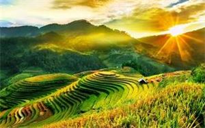Ruộng bậc thang